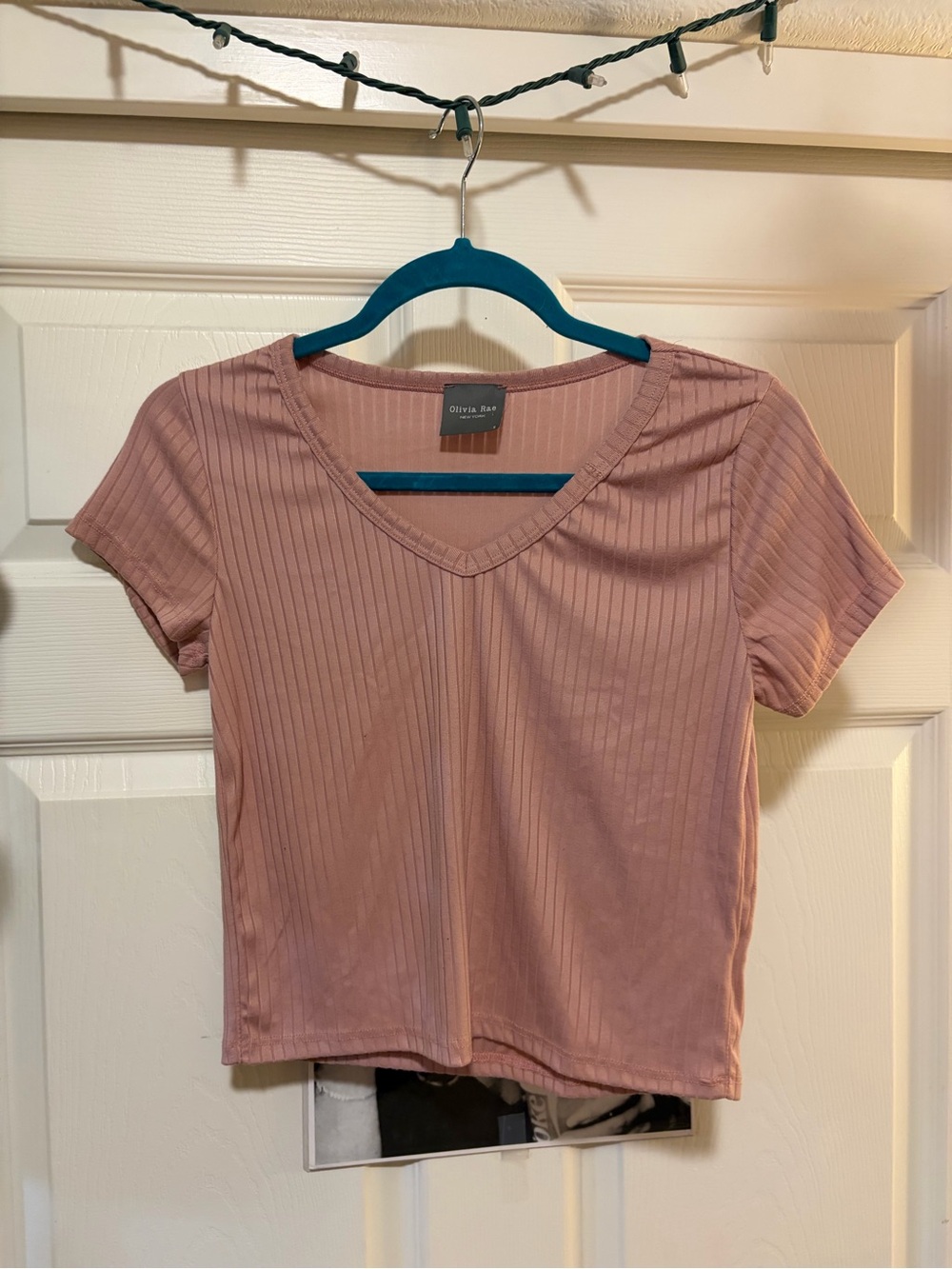 Olivia Rae Ribbed V-Neck Crop Top in Dusty Rose